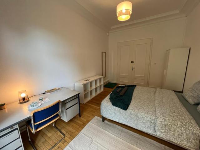 Chambres Privees -Private Room- Dans Un Spacieux Appartement - 100M2 Centre Proche Gare 뮐루즈 외부 사진