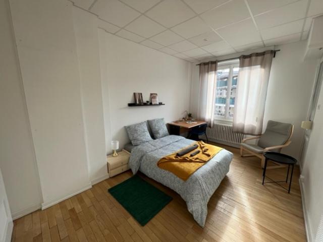 Chambres Privees -Private Room- Dans Un Spacieux Appartement - 100M2 Centre Proche Gare 뮐루즈 외부 사진