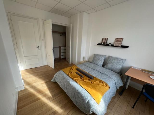 Chambres Privees -Private Room- Dans Un Spacieux Appartement - 100M2 Centre Proche Gare 뮐루즈 외부 사진